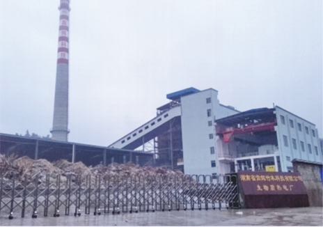 湖南省嵩辉竹木科技有限公司